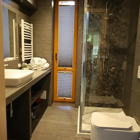 Daire Numer 4 Bory 6a Zakopane