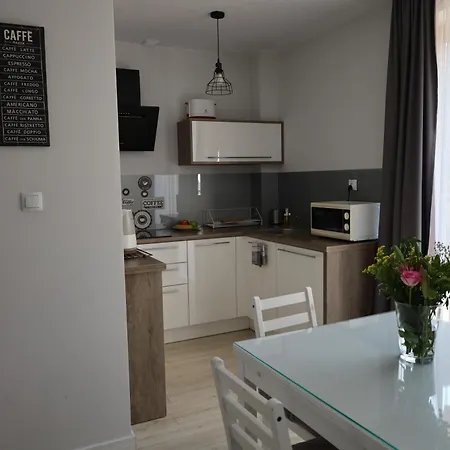 Apartment Numer 4 Bory 6a