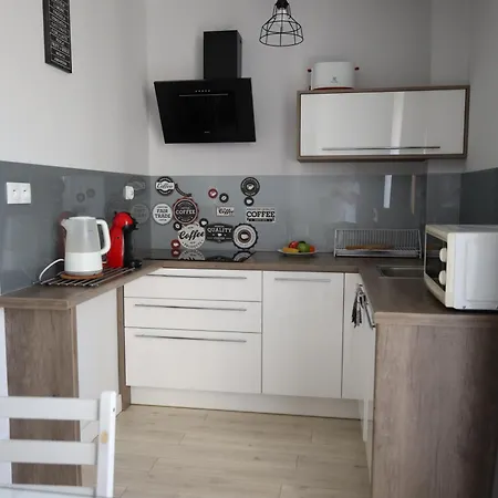 公寓 Numer 4 Bory 6a 扎科帕内